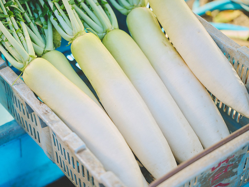 画像: 田倉農園のとれたて大根。青々とした葉が新鮮な証