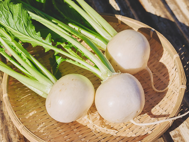 画像: 田倉農園のとれたてかぶ。丸々としておいしそう