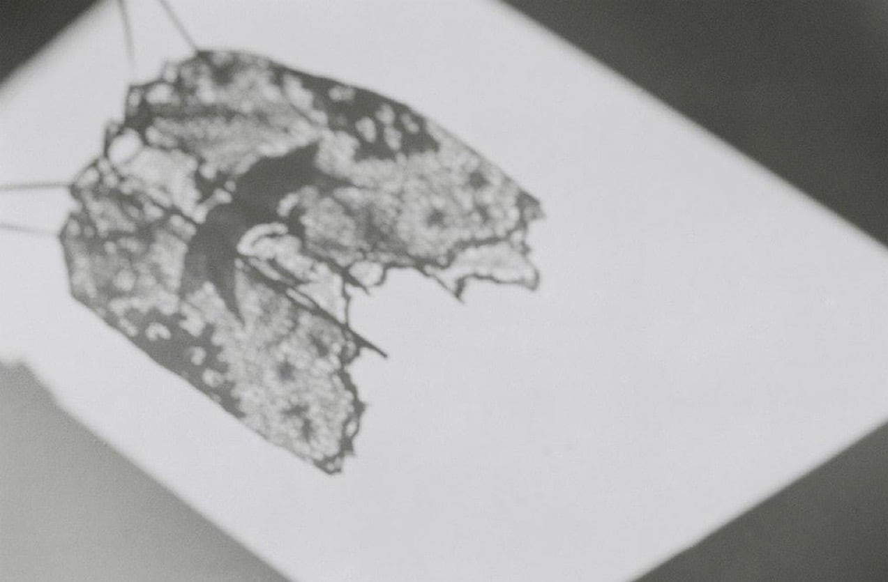 画像: Hériter powered by BASE