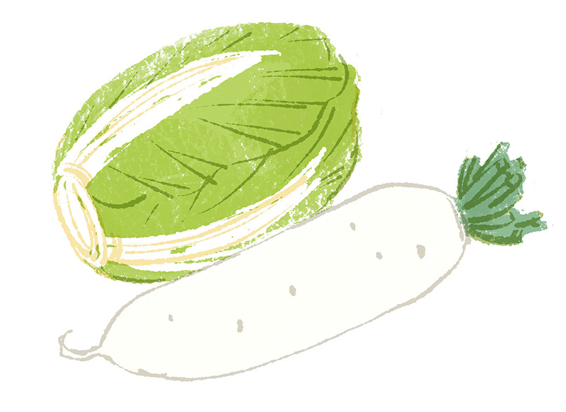 画像: 1月に旬を迎える食材「大根・白菜」