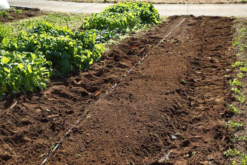 画像6: 落ち葉床のつくり方