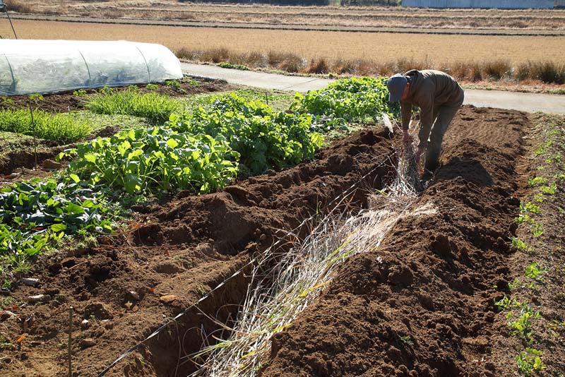画像2: 落ち葉床のつくり方