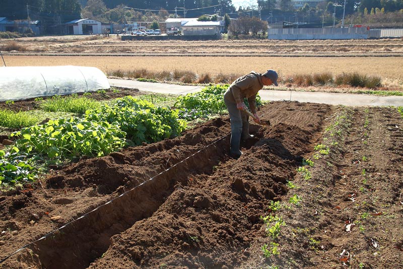 画像1: 落ち葉床のつくり方