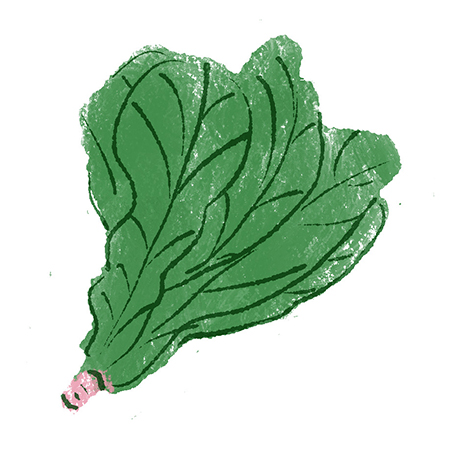 画像: 12月に旬を迎える食材「青菜（ほうれん草・小松菜・春菊など）」