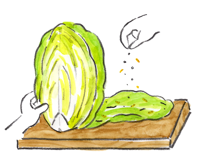 画像: 白菜漬けのつくり方｜山田奈美の旬を味わう手しごとごよみ／12月