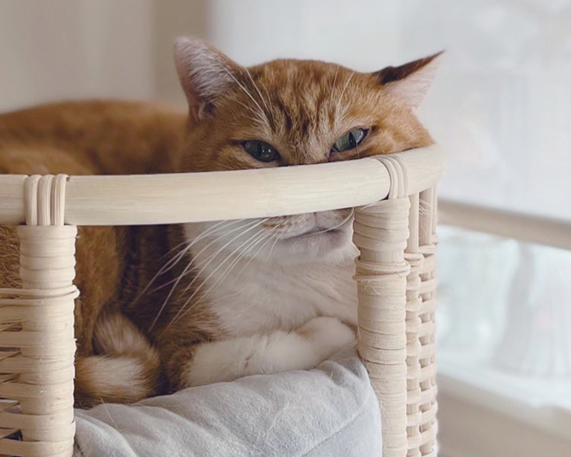 画像1: “3人のチーム”ができあがった