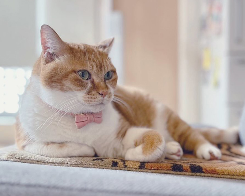 画像2: “3人のチーム”ができあがった