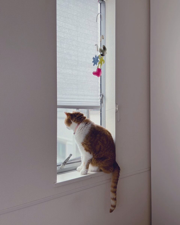 画像2: 11歳の夏、糖尿病がわかった