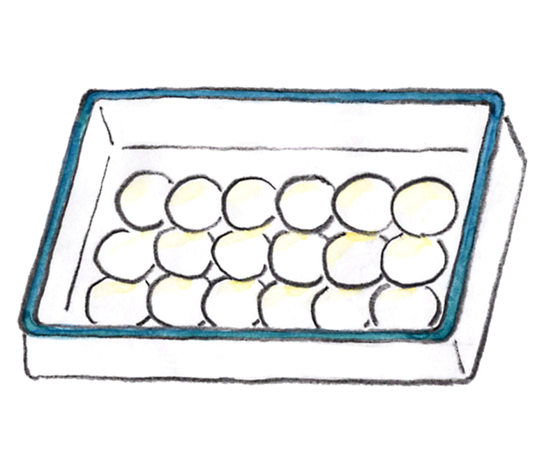 画像: 千枚漬けのつくり方｜山田奈美の旬を味わう手しごとごよみ／12月