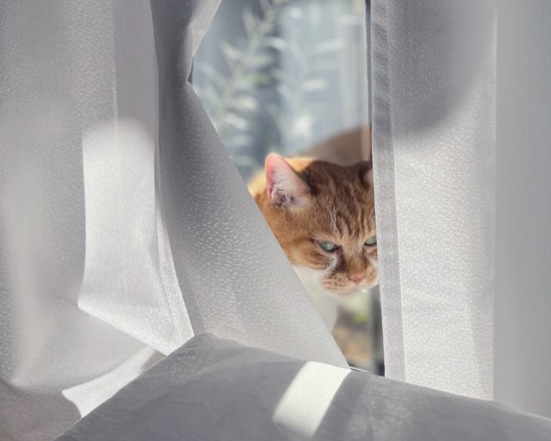 画像: ムギは、ちょっと“人間っぽい”