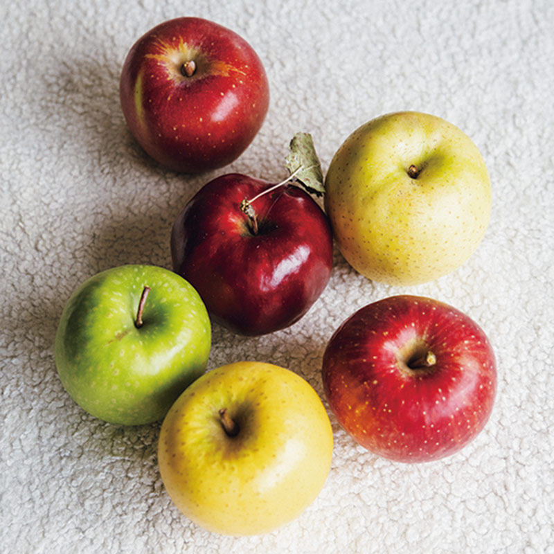 画像: 青森県弘前市の山のふもとで、環境に配慮した栽培方法で育てているりんご。見た目よりも味を重視し、それぞれの品種の魅力が際立つ味わい