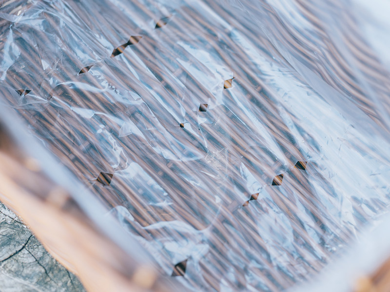 画像3: 寄せ植えのつくり方