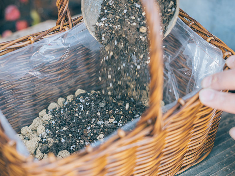 画像7: 寄せ植えのつくり方