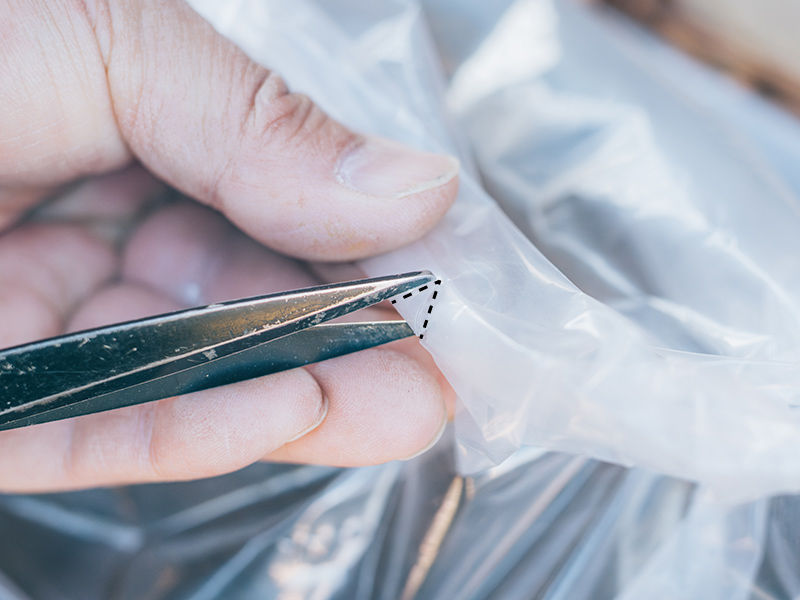 画像2: 寄せ植えのつくり方