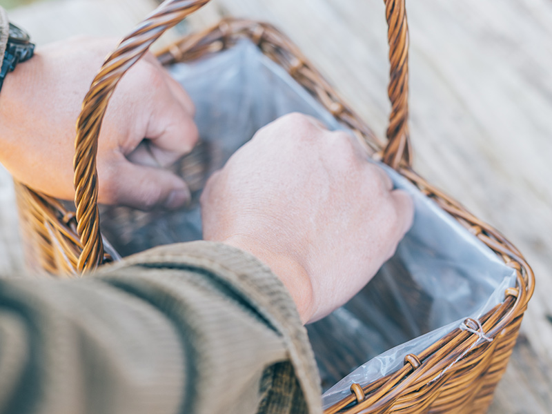 画像4: 寄せ植えのつくり方