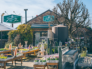 画像2: 8.ウォーターリリー