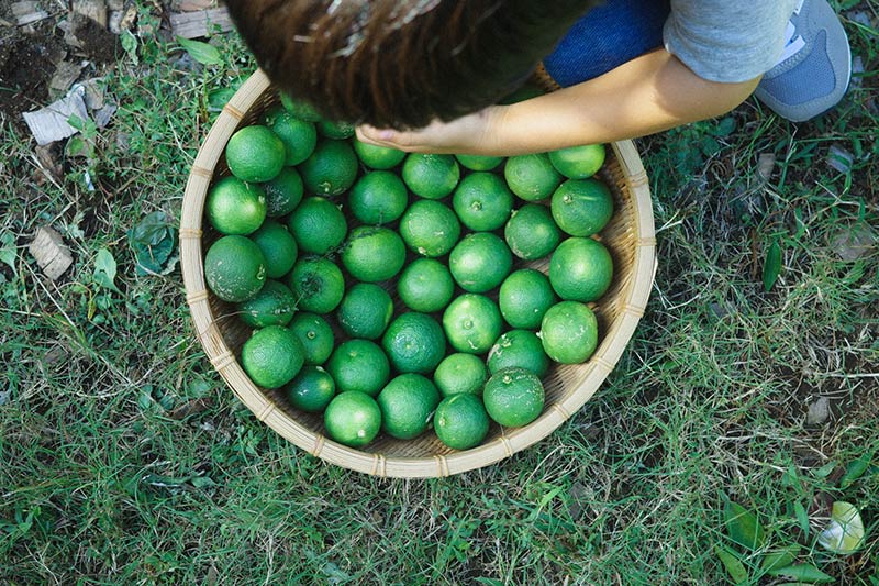 画像: ①庭で育み、食卓に並べる
