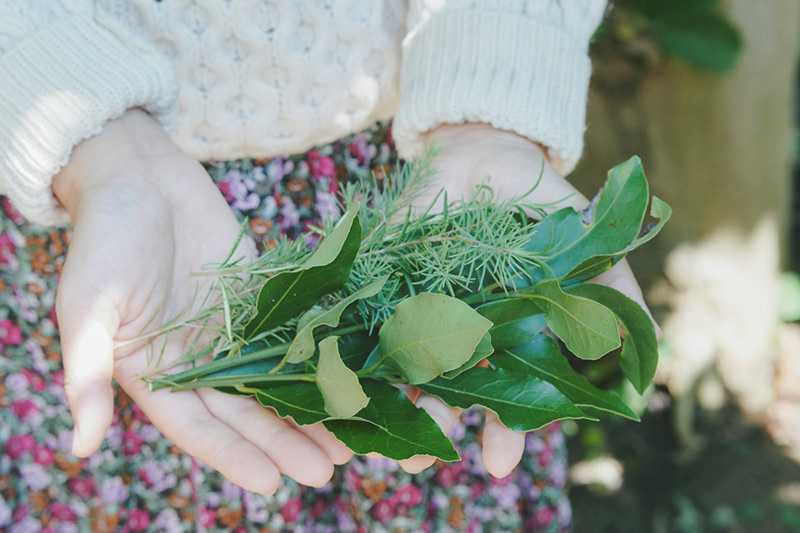 画像1: ③自然の恵みをおすそ分け。お金を介さない“ギフト”