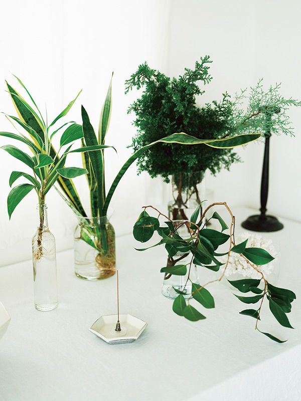 画像: 「観葉植物の脇芽を花びんに挿して眺めていたら、根が出て増えたものも多いんです」と板倉さん