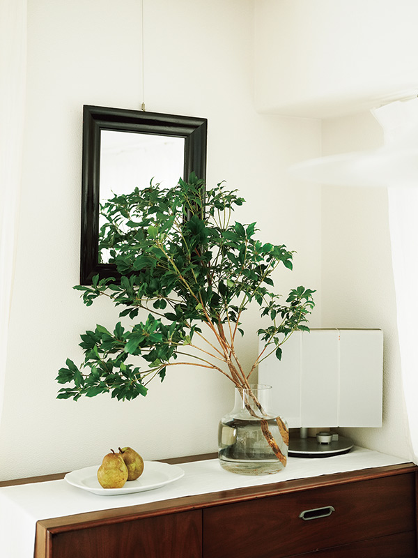 画像: 枝ものはなじみの花店で求めるほか、観葉植物の脇芽を花びんに挿していたら根が出たものも