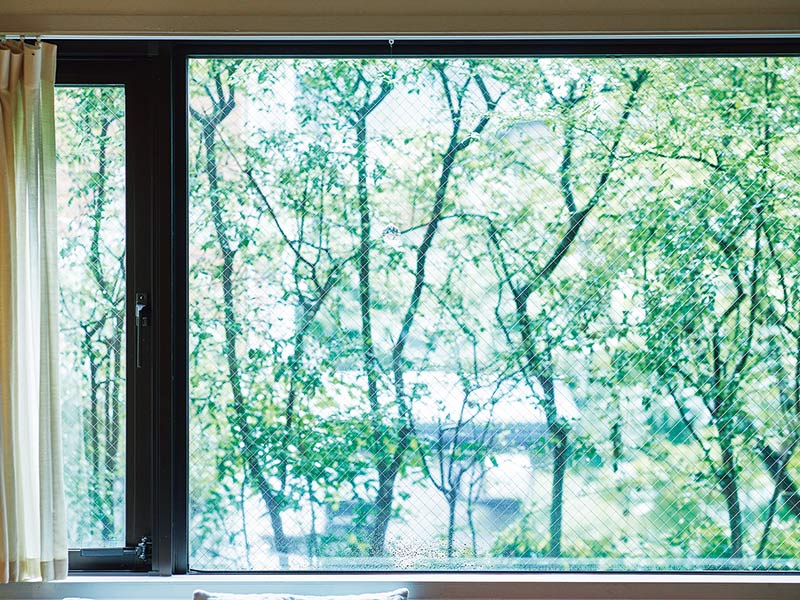 画像: 窓の外には常緑樹の植栽が。緑も見えつつ、向こう側も見通せる程よいバランスで