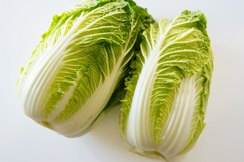 画像: 白菜のこと