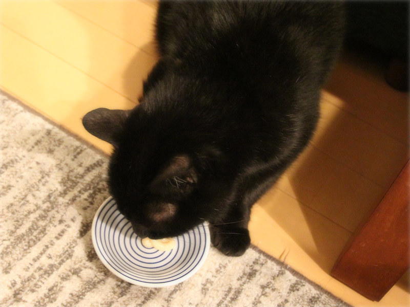 画像: 至福のちゅーるタイム