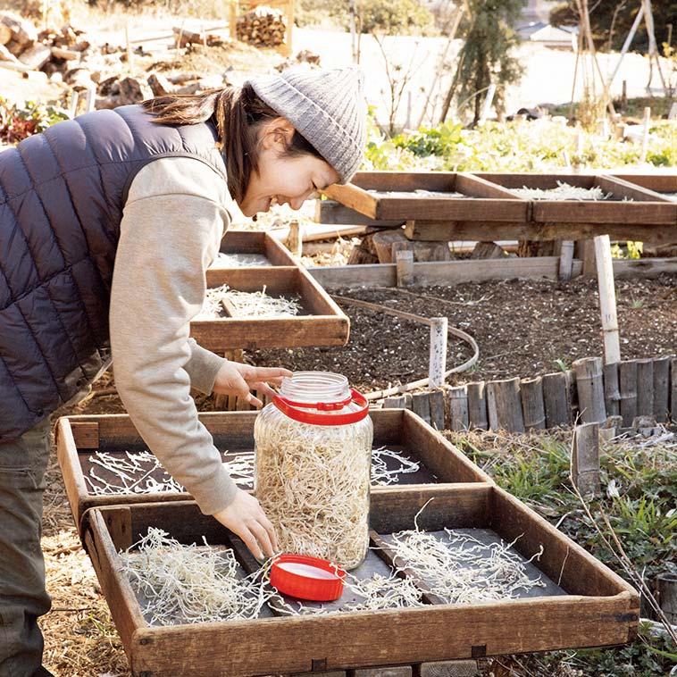 画像: 天日干しの切り干し