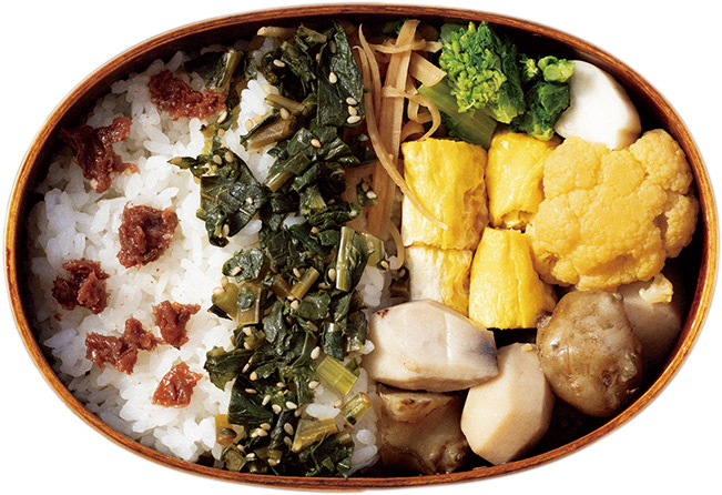 画像: 飼い始めたニワトリの卵入り