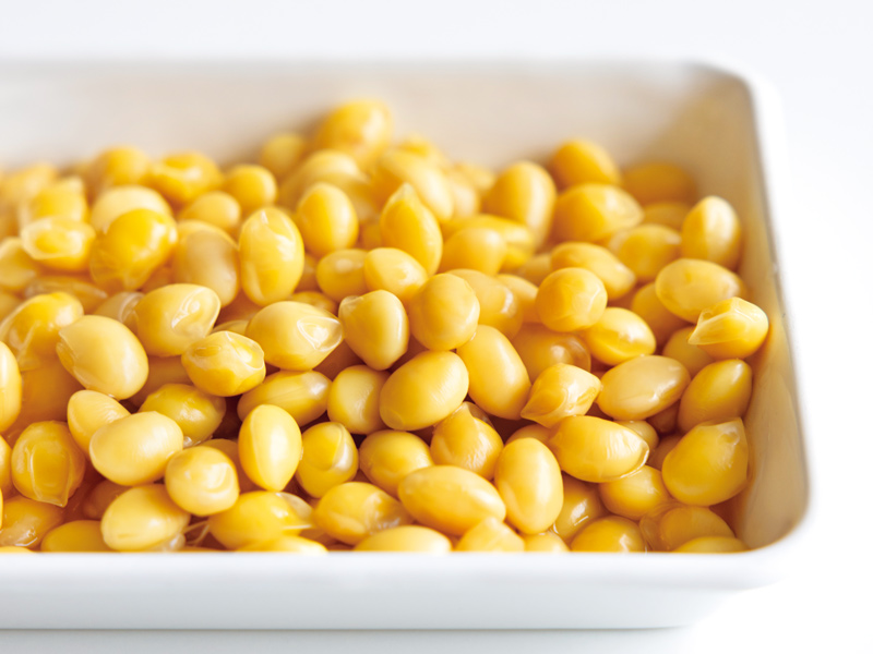 画像: 冷蔵保存、冷凍保存、ともにOK