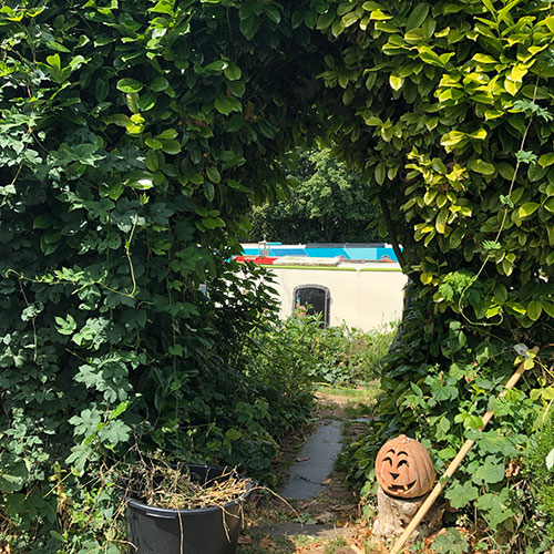 画像: ボートクリニックへ向かう緑のアーチ