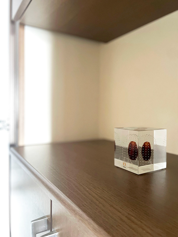 画像1: リビングにあえて「置かない」と決めたもの3つ。片づけがぐっとラクになる、もと汚部屋の整理収納アドバイザーが見つけた“過ごしやすい”リビングのルール