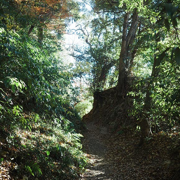 画像: ハレの日であっても、普段通り過ごす
