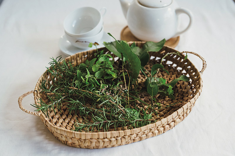 画像: スパイシーなレモンの葉、甘い香りのローリエ、清々しいローズマリーなど