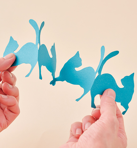 画像4: 基本の切り方