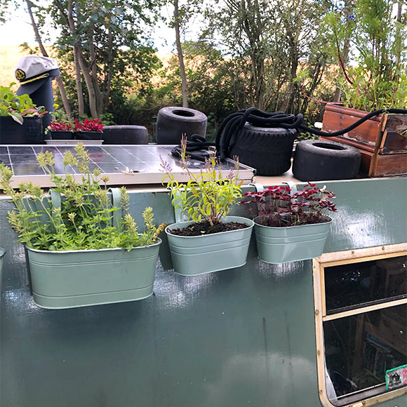 画像: キッチンハーブの鉢植えが並んだボート