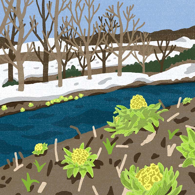 画像2: 3つのまちがいを探してください