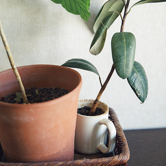 画像: ひび割れたマグカップは植木鉢に。使いつづけたくなるお気に入りを選ぶことも大事