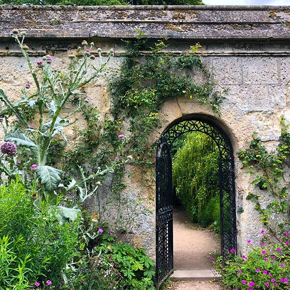 画像: オックスフォード植物園にて