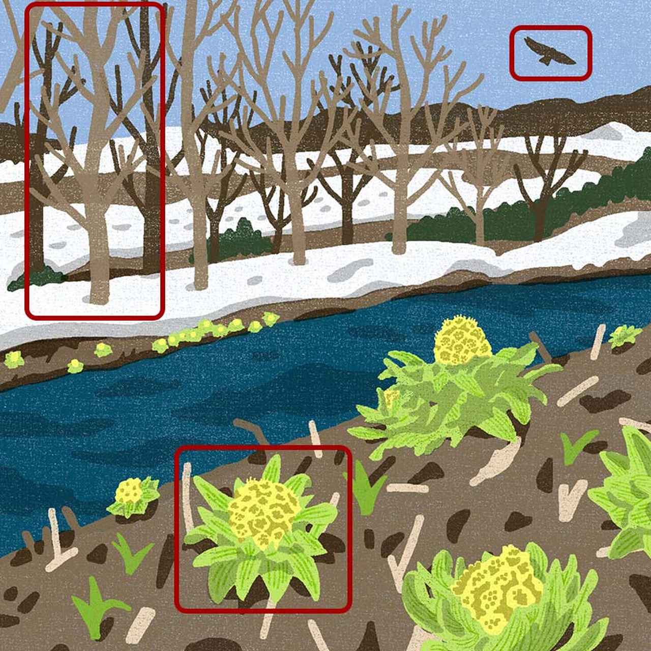 画像3: 3つのまちがいを探してください