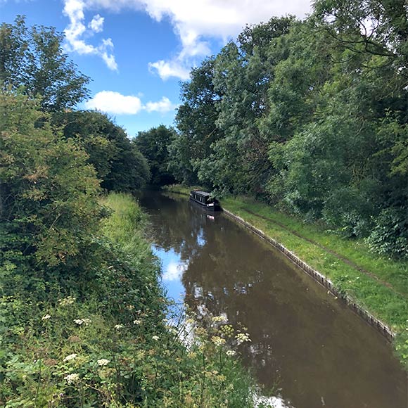 画像1: 朝の散歩道にて