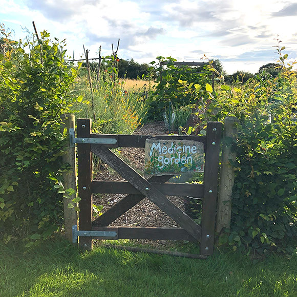 画像: ハーブガーデンにて