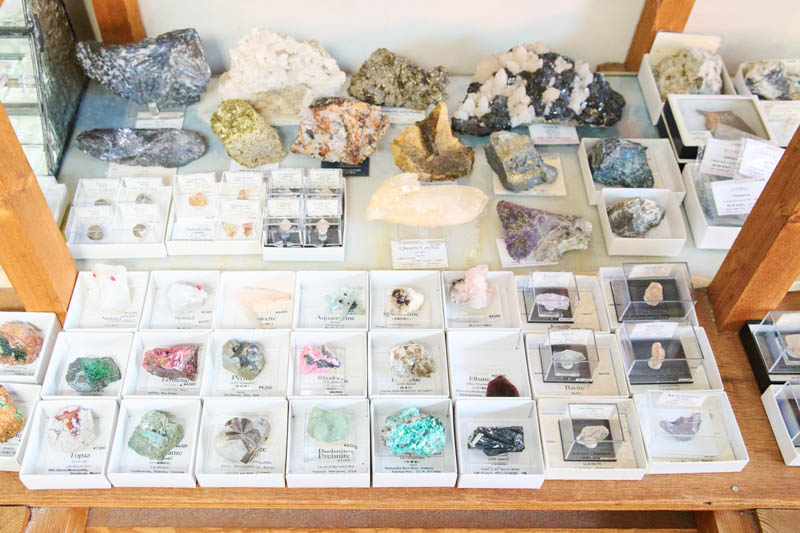 画像: マニアも納得の一品から