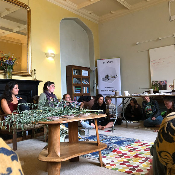 画像: フェスティバルの様子