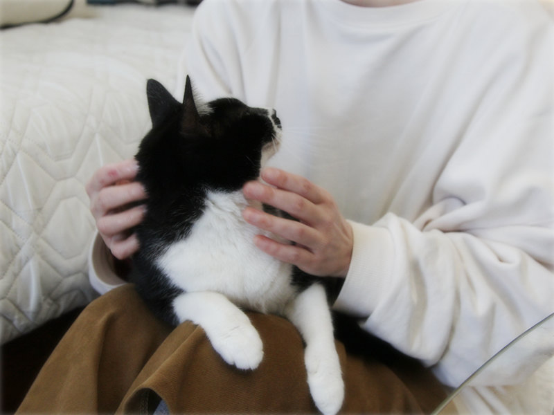 画像: 私の膝の上で、うっとりする全