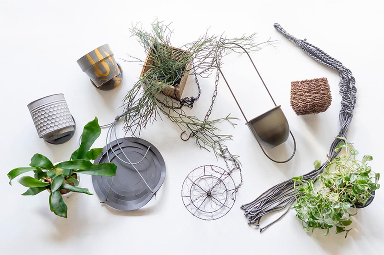 画像: 植物を吊るすアイテムも、ひとつではありません。暮らしに合うものを、少しずつ探してみるのも楽しい時間です。
