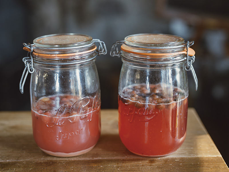画像: ばらの花びら、りんご、ブルーベリーで酵母をおこし中