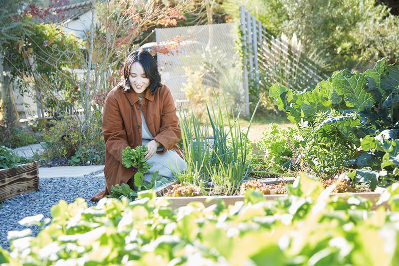 画像: 野菜の生長も喜びのひとつ。「微生物の環境を保つために土は耕しません」