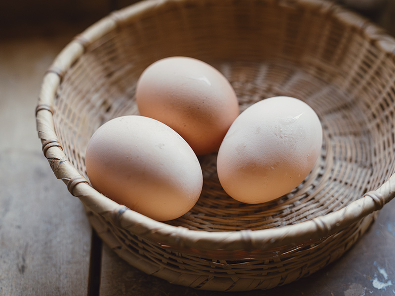 画像: 今朝産んだばかりだという卵。「うま味があっておいしいです」。自然のサイクルに沿って育てているため、寒い冬や暑い真夏の時季は卵を産まない