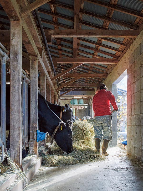 画像: エサやりは朝と夕方の2回。牧草が乏しくなる時期は、夏に刈り取っておいた干し草をあげる